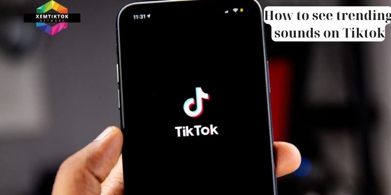 How to see trending sounds on Tiktok